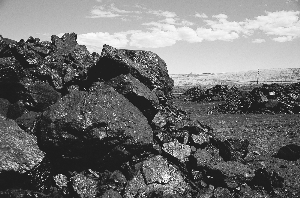 含煤建造 含煤建造