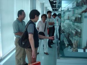 隆順榕中藥生產技藝