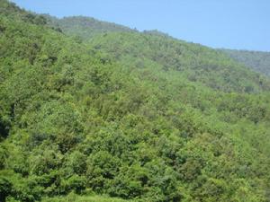 【獨田村委會】自然資源