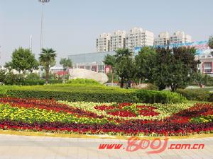 長安區[西安市]