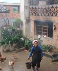 米德卡村 米德卡村