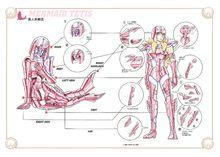 聖鬥士星矢[車田正美原作的漫畫]