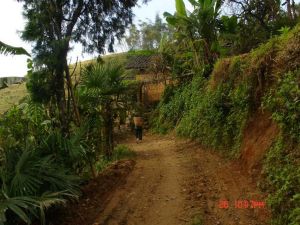 下團山自然村 下團山自然村
