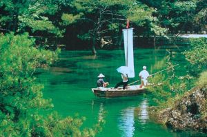 打洛森林公園 打洛森林公園