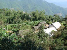 岩崗自然村 岩崗自然村