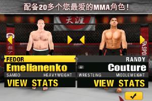 EA運動：綜合格鬥