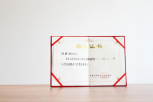 2011年9月張曉旭被大連沙河口區人民政府授予民辦教育系統二〇一〇至二〇一一年度優秀教育工作者