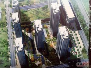 蘇荷壹號 蘇荷壹號