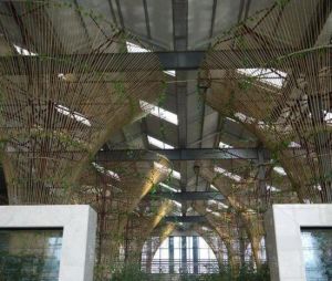 聖氏養生密碼園