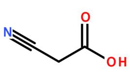 氰乙酸 氰乙酸