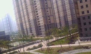 金穗花園 金穗花園