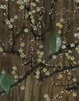 夢回大宋之梨花辭 夢回大宋之梨花辭