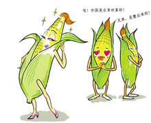 轉基因玉米漫畫