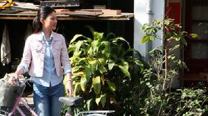 《花樹下的約定》