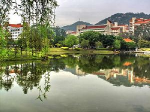 芙蓉湖吧 芙蓉湖吧