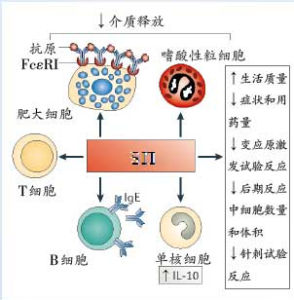 適應性免疫 適應性免疫