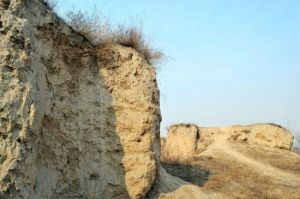 台西商代遺址 台西商代遺址