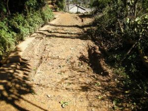 大沙地村 大沙地村