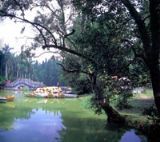 玉塔窯址群 玉塔窯址群