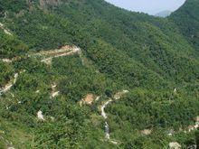 五雲村[浙江省溫州市瑞安市梅嶼鄉五雲村]