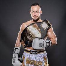 羅賓&middot;范&middot;羅斯馬倫