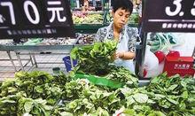 蔬菜價格上漲