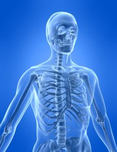 透視人體骨骼