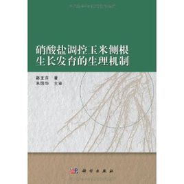 硝酸鹽調控玉米側根生長發育的生理機制 硝酸鹽調控玉米側根生長發育的生理機制