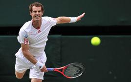 安迪·穆雷 安迪·穆雷