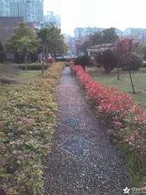 衡陽市船山英文學校