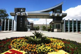 西寧特鋼 西寧特鋼