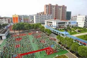 武漢市新洲一中 武漢市新洲一中