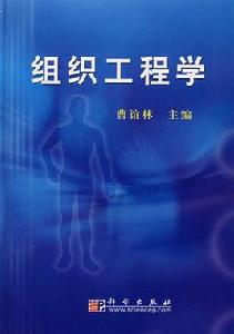 工程學[名詞解析]