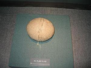 遼寧省建平縣發現的鴕鳥蛋化石（亦平攝影）