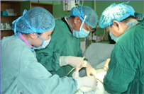 （圖）聊城市第三人民醫院