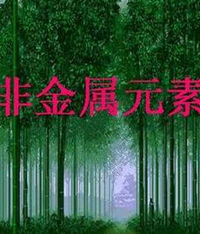 非金屬元素 非金屬元素