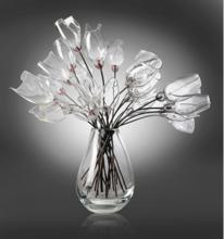 植物活性翻譯機