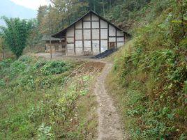 舊犁樹自然村 舊犁樹自然村