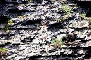 通天籮原始森林