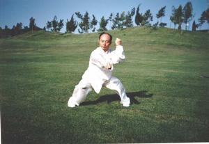 六合螳螂拳 六合螳螂拳