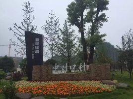 中對口村 中對口村