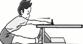 柔韌素質 柔韌素質