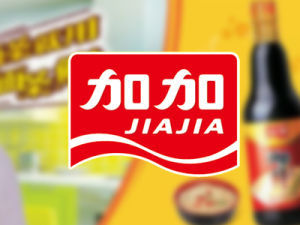 加加食品 加加食品