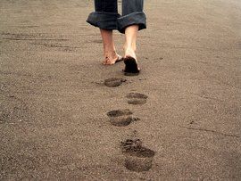 蹤跡[辭彙解釋]