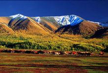 金山銀水阿勒泰