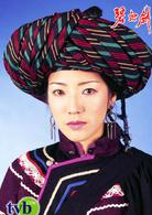 碧血劍[2000年香港TVB版林家棟主演電視劇]