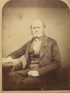 達爾文 Charles Darwin 1855年