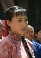 山菊花[2006年王冀邢執導電視劇]