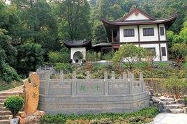 老龍井御茶園 老龍井御茶園