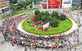 增城掛綠荔枝 增城掛綠荔枝